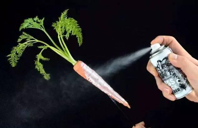 食物終結者：比黑暗料理還可怕的食物，你敢吃嗎？