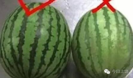一對堂兄妹雙雙中毒，竟然是吃了這個...