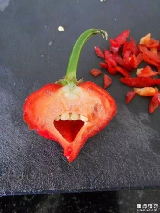 神奇的造物主！買到這些運氣也是沒誰sei了！