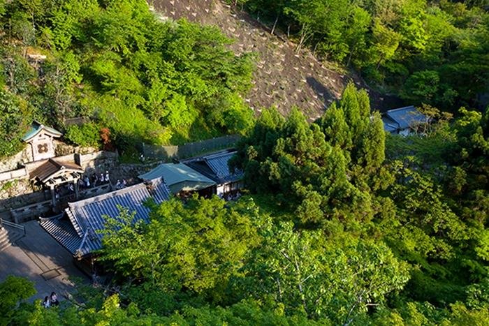 日本京都文化之旅：獨特文化，優雅底蘊