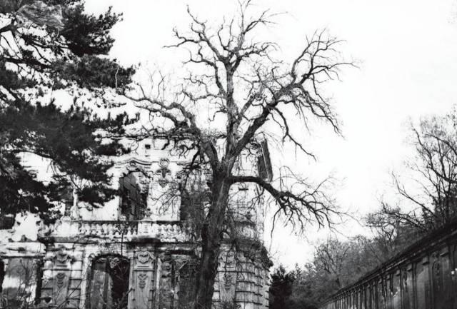 英國首次曝光圓明園被燒毀前的照片,轟動世界