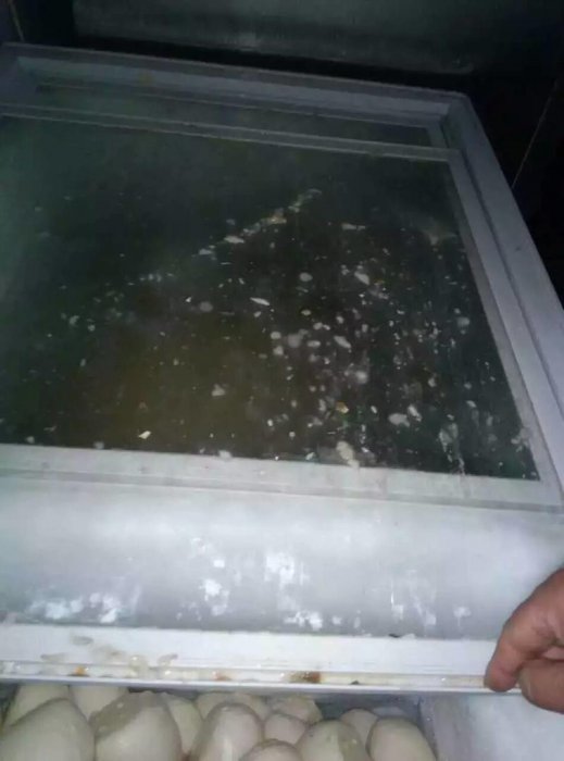 學校給學生吃發霉食物導致細菌感染，現在還有孩子在醫院