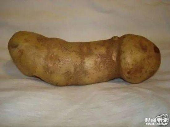 神奇的造物主！買到這些運氣也是沒誰sei了！