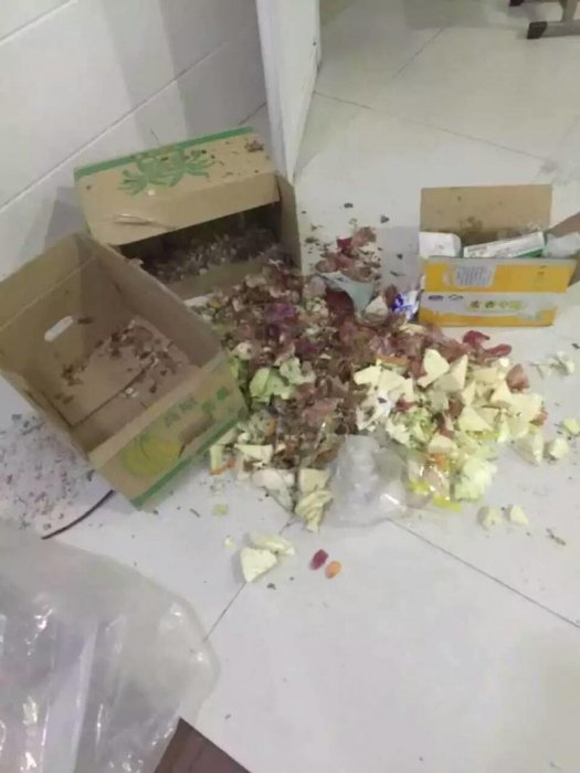 學校給學生吃發霉食物導致細菌感染，現在還有孩子在醫院