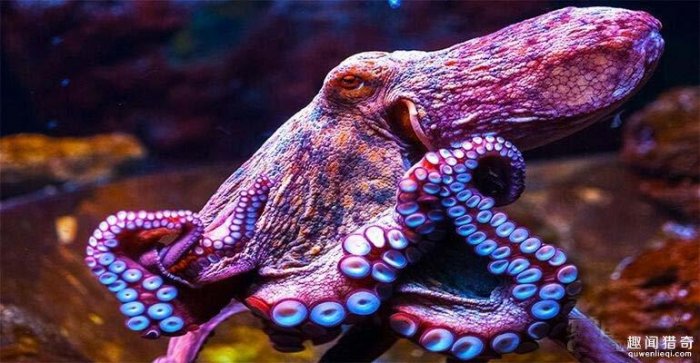 原來真的有外星物種！科學家已經發現不屬於地球生物