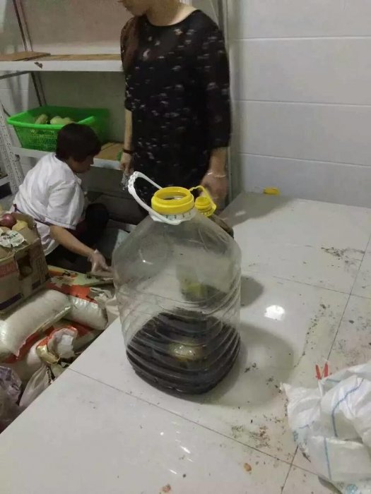 學校給學生吃發霉食物導致細菌感染，現在還有孩子在醫院
