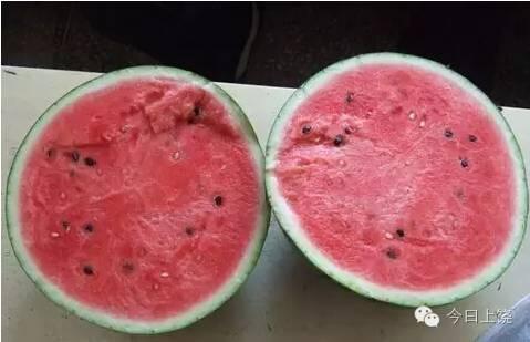 一對堂兄妹雙雙中毒，竟然是吃了這個...