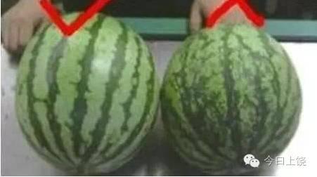 一對堂兄妹雙雙中毒，竟然是吃了這個...