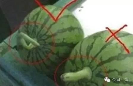 一對堂兄妹雙雙中毒，竟然是吃了這個...
