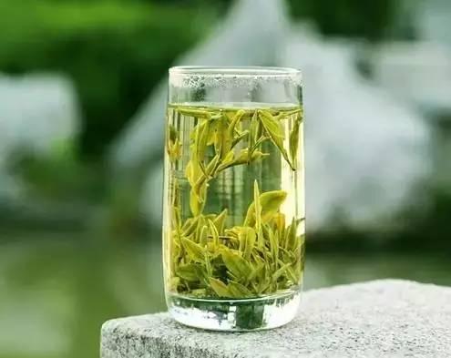 千萬別再喝過期茶葉了，傷身更傷腎？