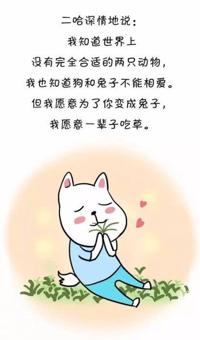 也許花掉一生，都等不到那個人