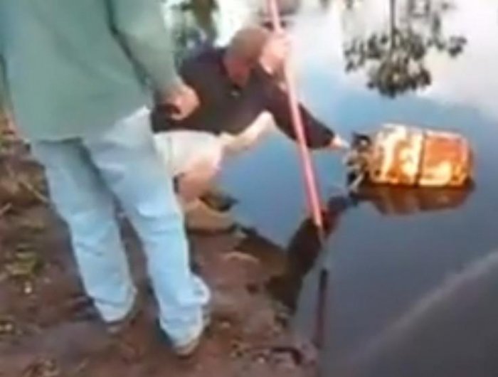 國外男子使用煤氣罐炸魚，接下來一幕超出想像！