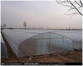 我想吃西瓜！反季蔬果能不能吃啊？