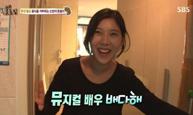 韓國綜藝展示出：棄養對於貓咪帶來的傷害！