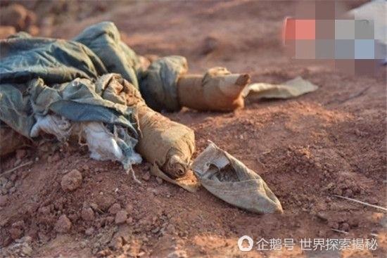 男子工地棺材內挖出古裝女乾屍，專家鑒定後道出真相