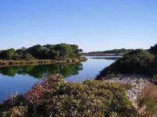 最美板鴨之秋-10個適合秋天休閑徒步的森林公園