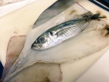 他買墨魚回家覺得不對勁，切開後才發現裡面藏了東西