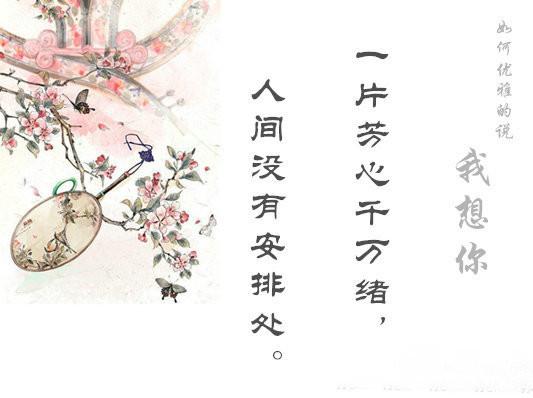 如何高雅地說出「我想你」？