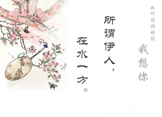 如何高雅地說出「我想你」？