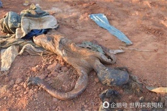 男子工地棺材內挖出古裝女乾屍，專家鑒定後道出真相