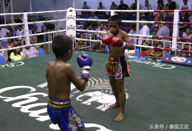 實拍泰國兒童拳擊手：男女童為了養家玩命搏擊，拼一場賺200元
