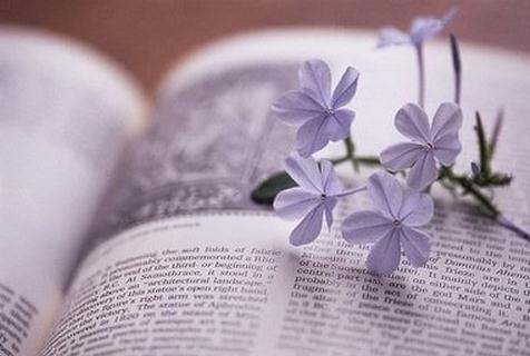 可靠指數低到不行的星座男，白羊雙子射手，比不上他