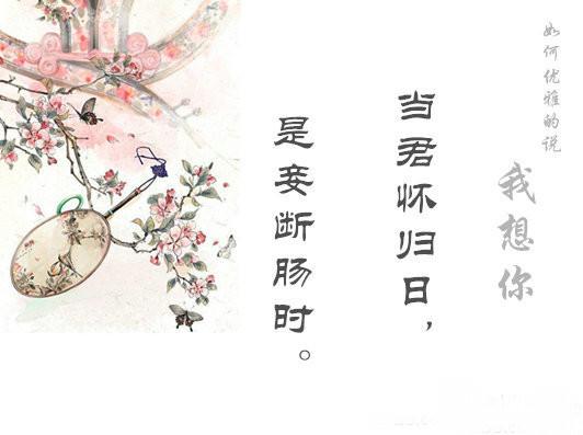 如何高雅地說出「我想你」？