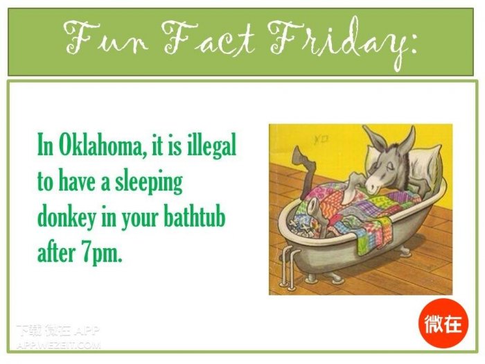 15 條關你屁事的法律規定,你這樣是要被逮捕的