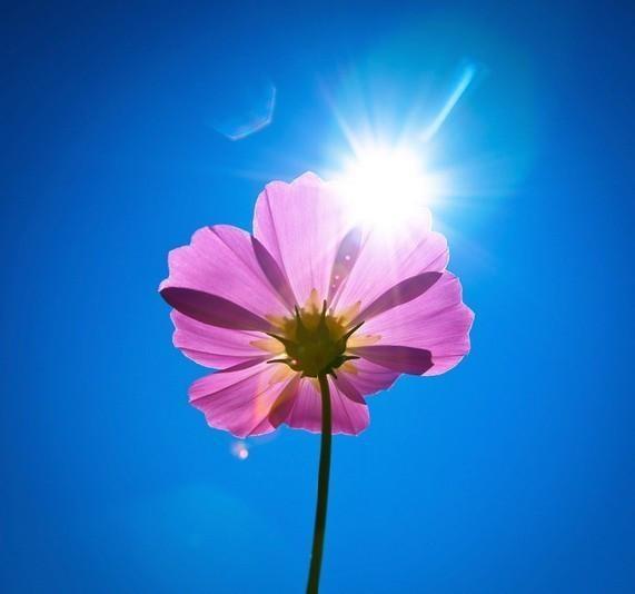 立冬後的三個月哪些人需小心謹慎