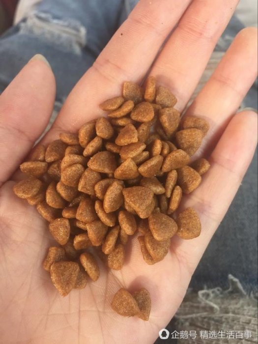 這狗糧是鹹的，狗狗能吃嗎？求大神指教！