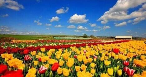 世界土豪國家排行榜：第一名竟不是迪拜而是這個國家