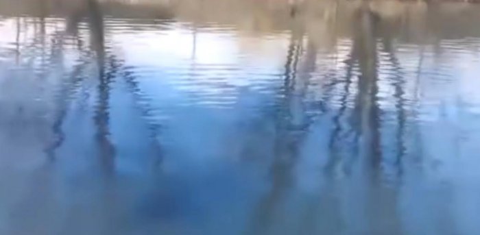 男子用手榴彈炸魚，這收穫太讓人意外了！