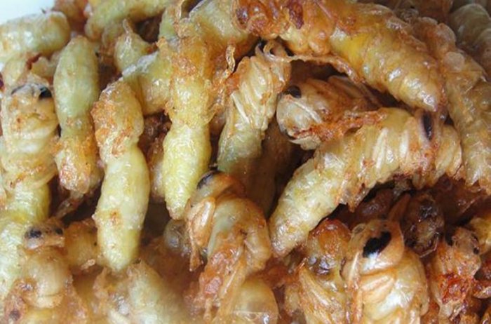 這些奇葩名吃，你吃過幾種？最後的絕啦！