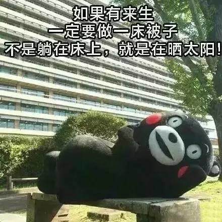 每一天都要和起床作艱難的鬥爭