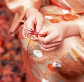 驚掉下巴!日本人為啥爭先恐後吃樹葉?