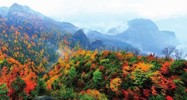 韓信的騙術：導演蕭何月下追韓信，請君入局