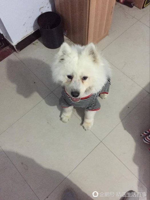 老闆是有強迫症嘛！150硬剃了3個小時！