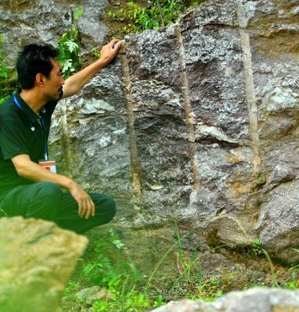 山上採石挖出一「特別石頭」，表面顏色鮮艷內藏微型小生物