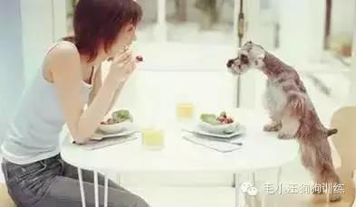 告訴我，是不是女生養了寵物都會變這樣