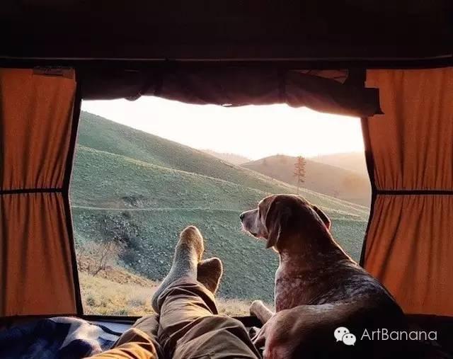 狗狗和攝影師在一起，結果當然是被玩兒壞了