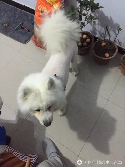 老闆是有強迫症嘛！150硬剃了3個小時！