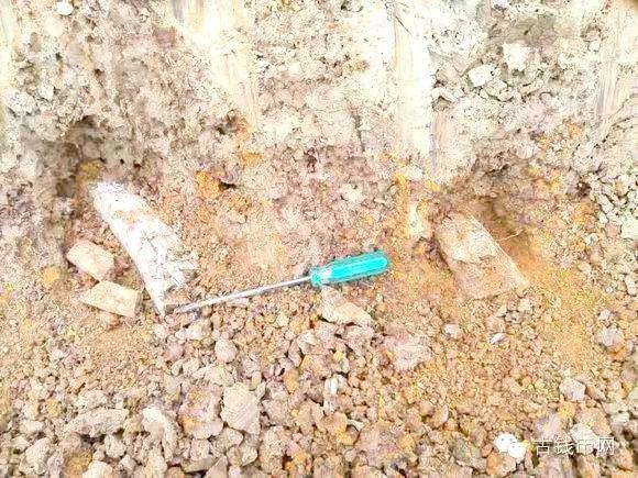 農民種地挖出了「寶貝」,引來了一群人圍觀!