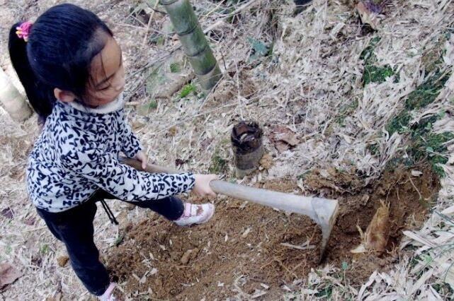 城裡女孩跟表妹上山，撥開樹葉看到這物笑得合不攏嘴