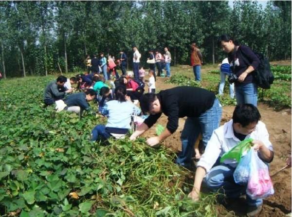 瞧呀，曾經的農村人變成城裡人到農村花錢過農家樂