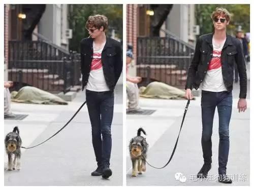 告訴我，是不是女生養了寵物都會變這樣