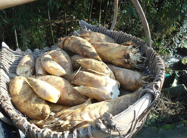 城裡女孩跟表妹上山，撥開樹葉看到這物笑得合不攏嘴