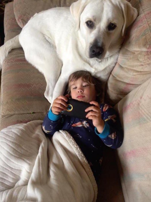 小孩患有自閉症，狗狗三年陪伴，換來小孩驚人的改變