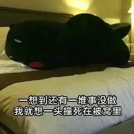 每一天都要和起床作艱難的鬥爭