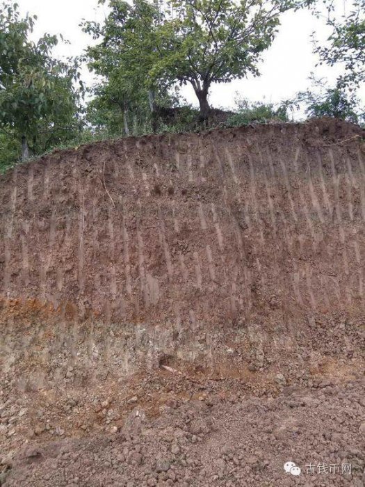 農民種地挖出了「寶貝」,引來了一群人圍觀!