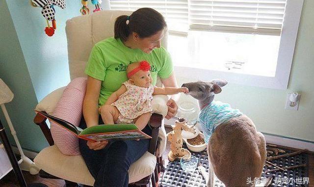 不玩絨毛玩具，和她形影不離的兒時玩伴竟是只小袋鼠